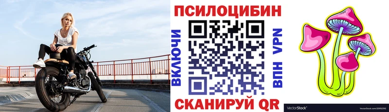 Псилоцибиновые грибы Psilocybe  Сольвычегодск 